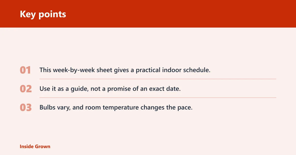 Key points: Amaryllis timing sheet