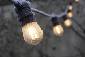 How to Hide Landscape Lighting Wires Neatly