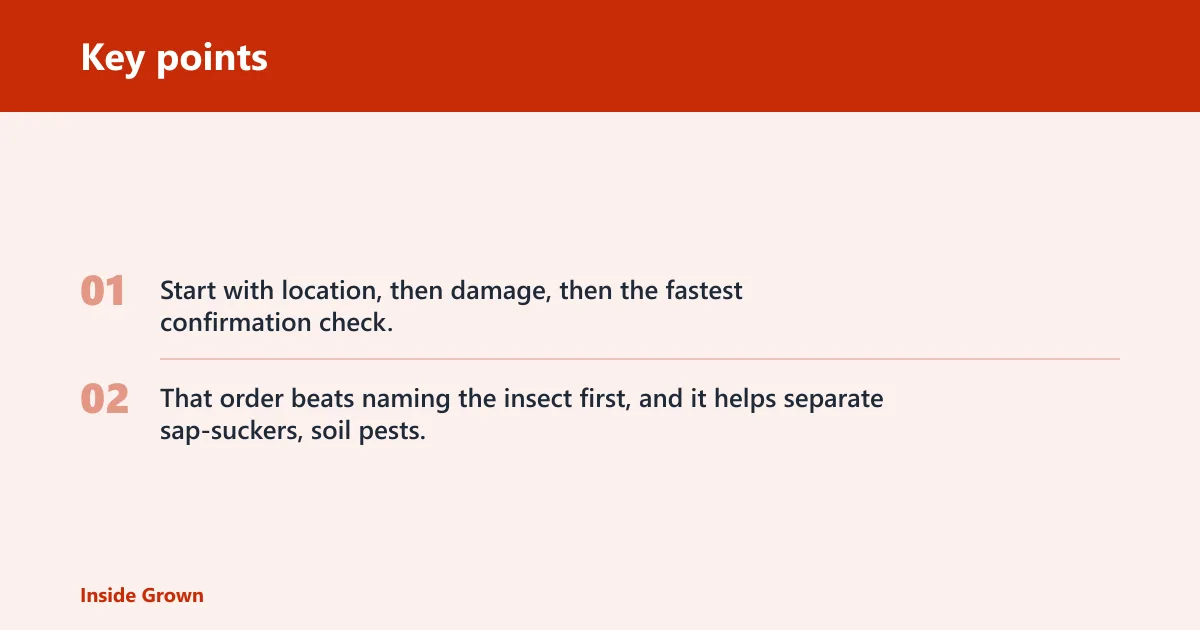 Key points: Houseplant pest fast-ID matrix