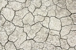 How to Identify Soil Crusting and Prevent It