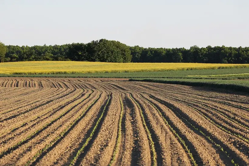 Soil crusting field checklist