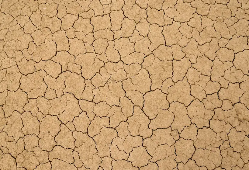 How to improve clay soil without replacing it?
