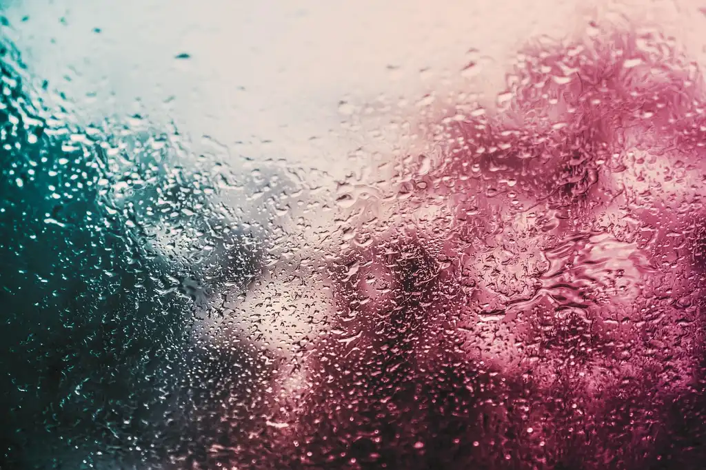 How to raise humidity step by step