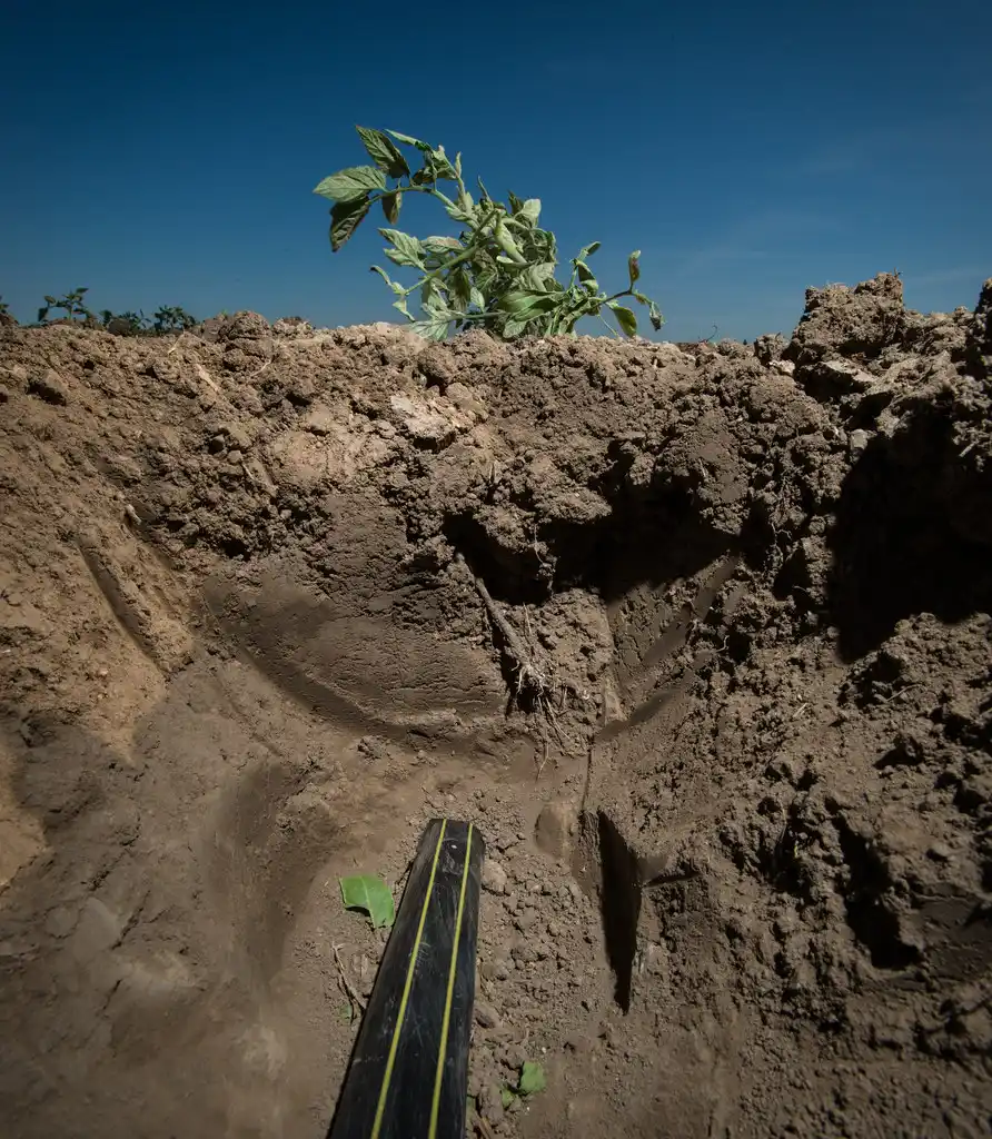 Homeowner inspecting a drip irrigation filter and gauge beside a well pump line