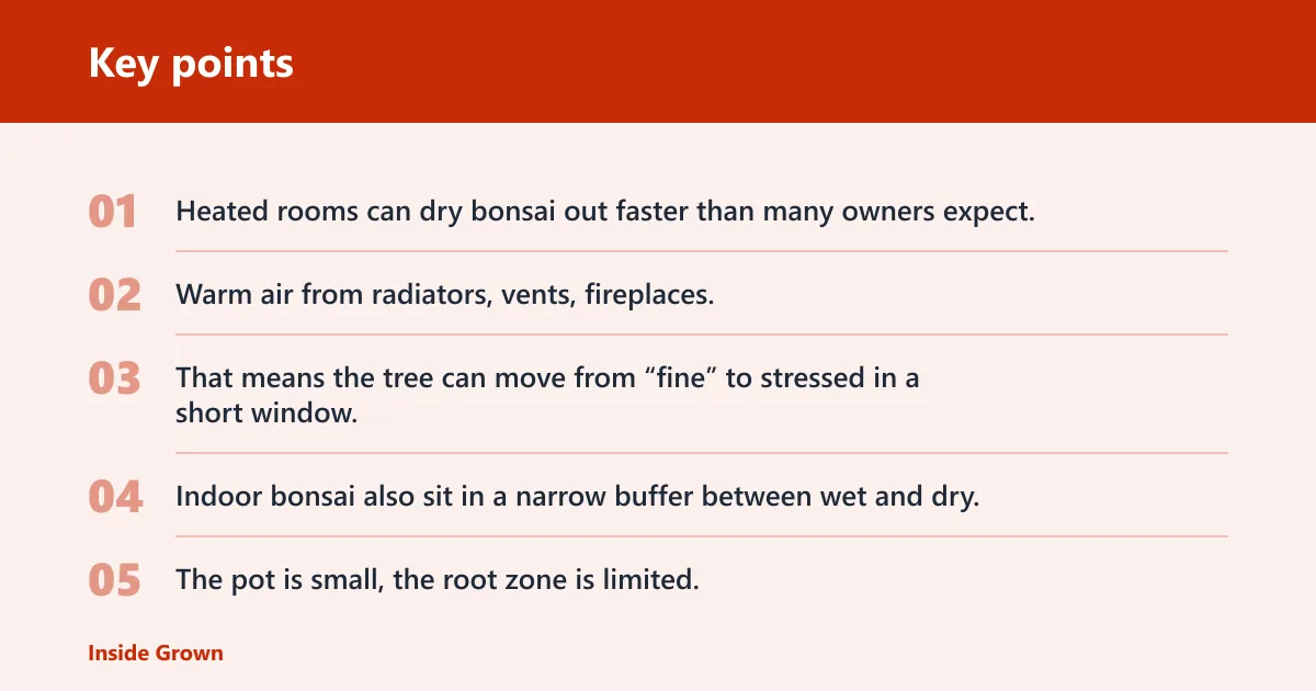 Key points: Why heated rooms hurt bonsai