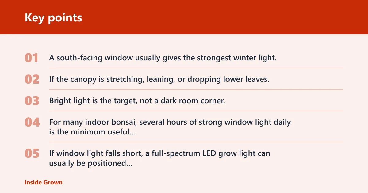 Key points: Place the tree for light and heat