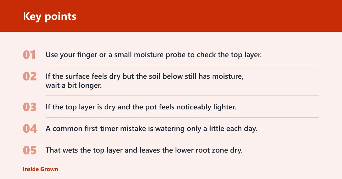 Key points: Watering and soil rules