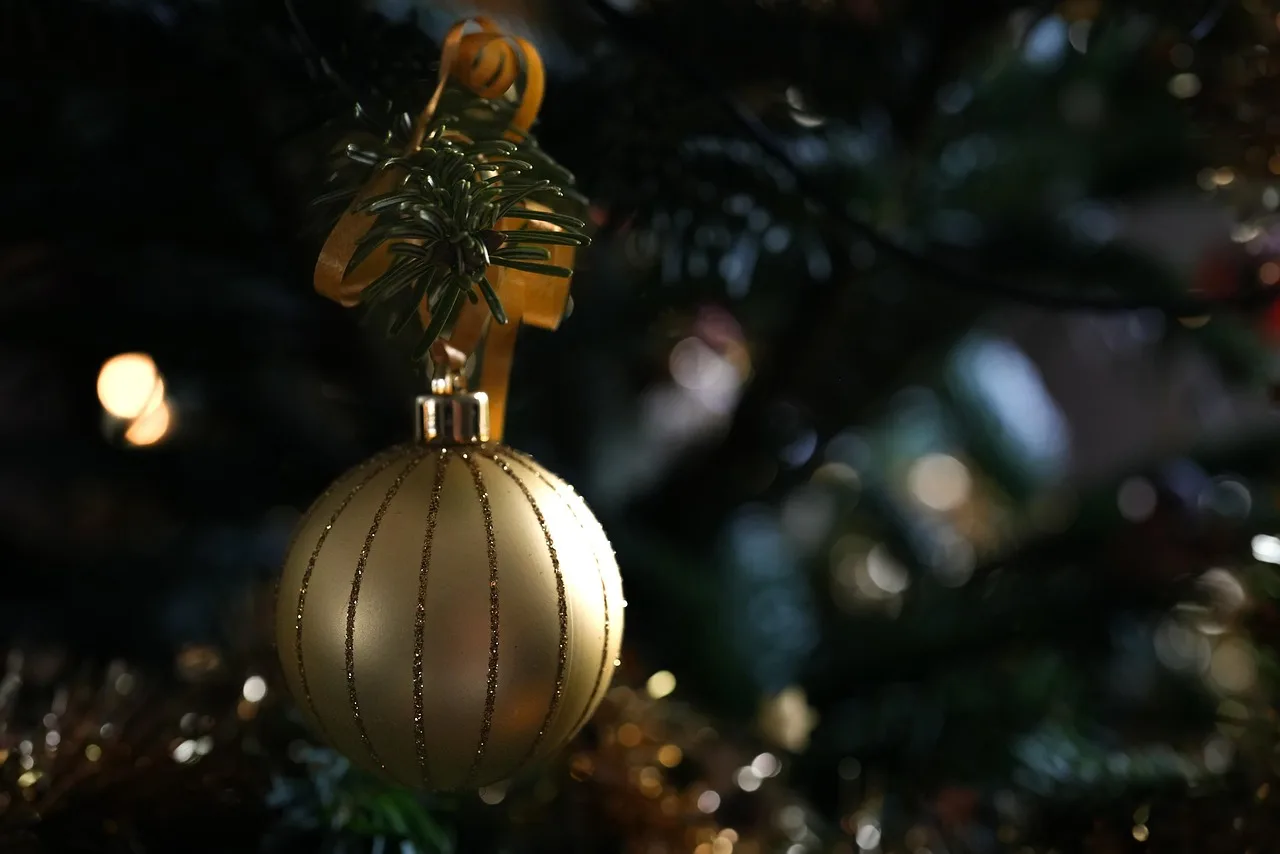 How to keep a real Christmas tree alive indoors