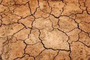 How to Keep New Topsoil From Washing Away