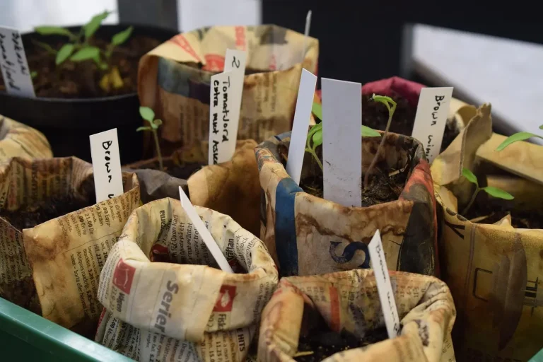 Home gardener labeling seedling trays beside a planting log and seed packets