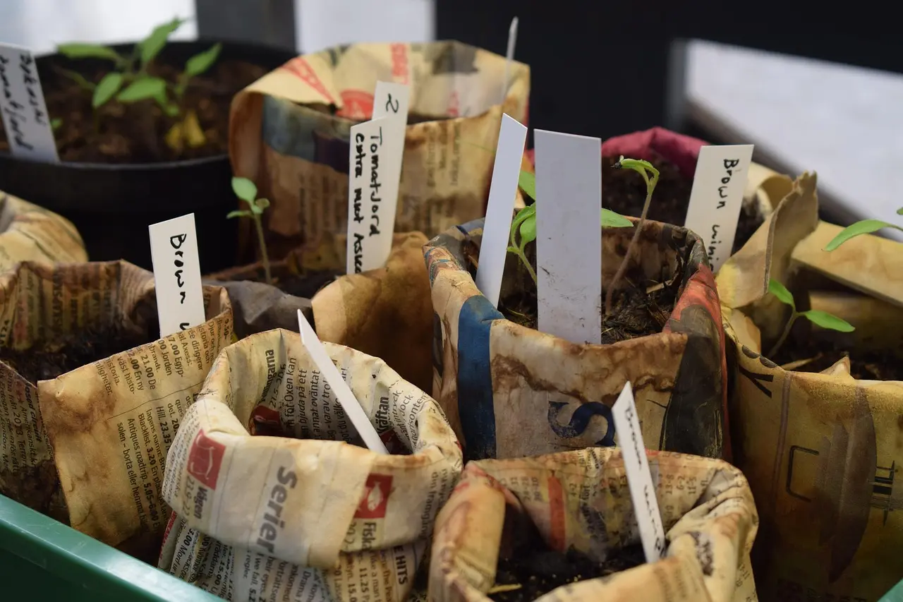 Home gardener labeling seedling trays beside a planting log and seed packets