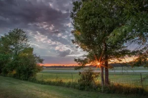 How to Light a Fence Line Without Glare for Privacy