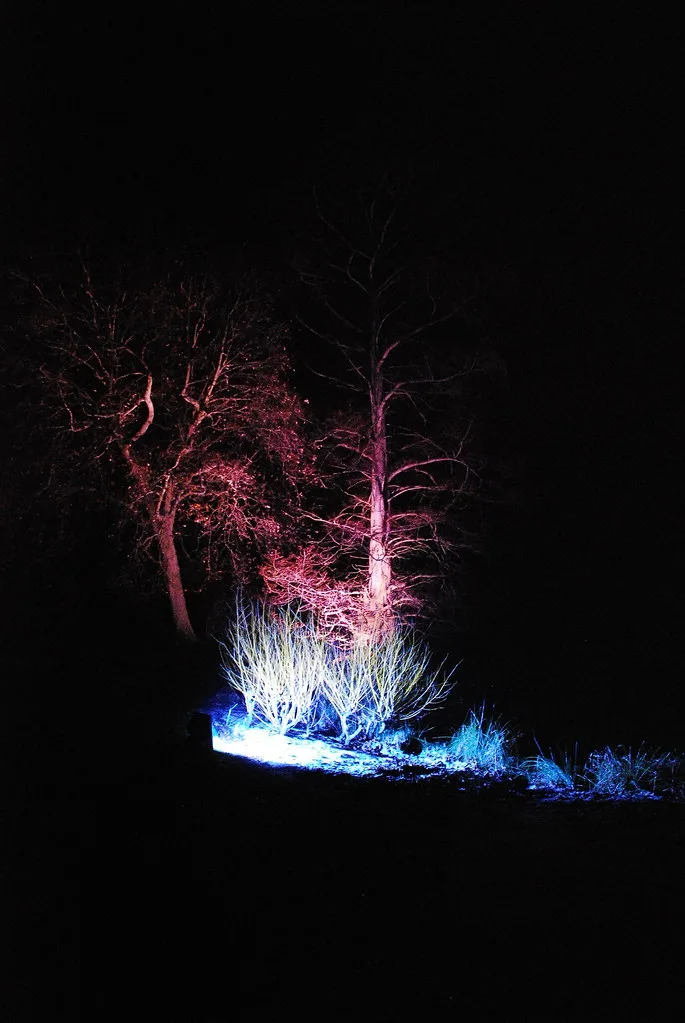 Close-up of a landscape spotlight being aimed at a tree trunk near the base.