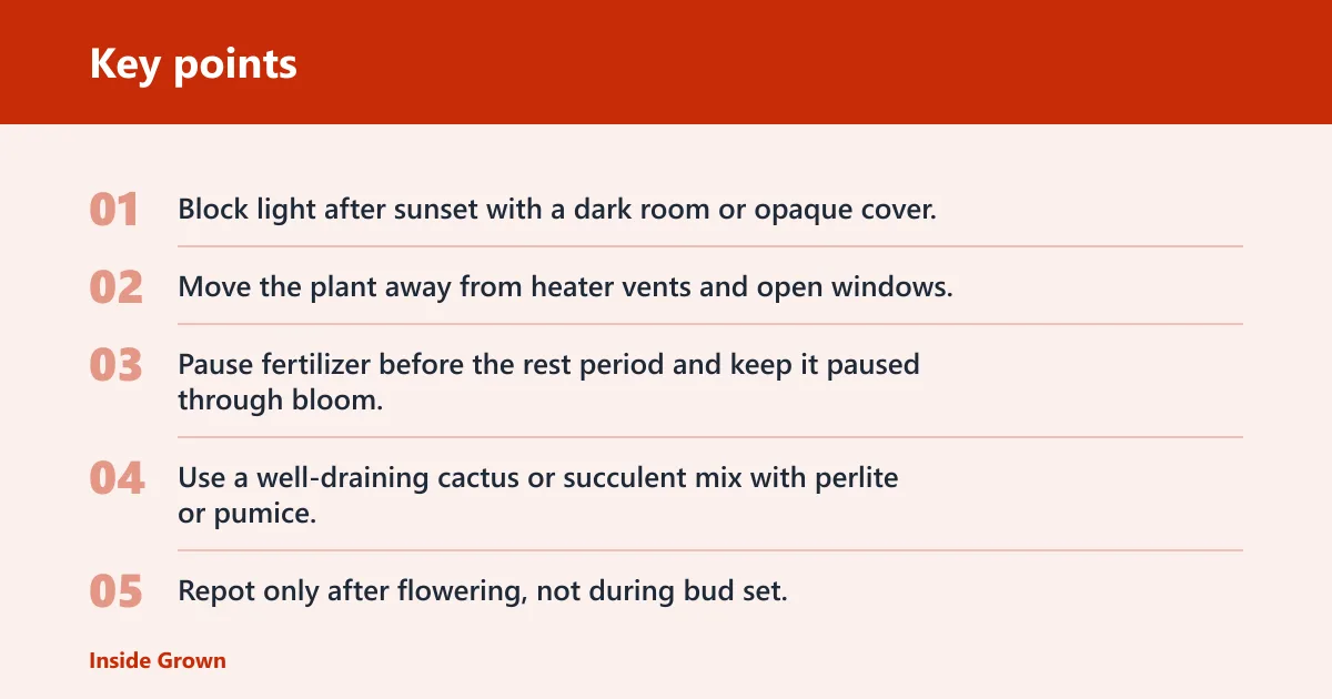 Key points: Common mistakes that stop blooming