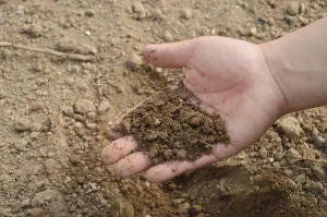 How to Mix Compost into Existing Landscape Soil Beds