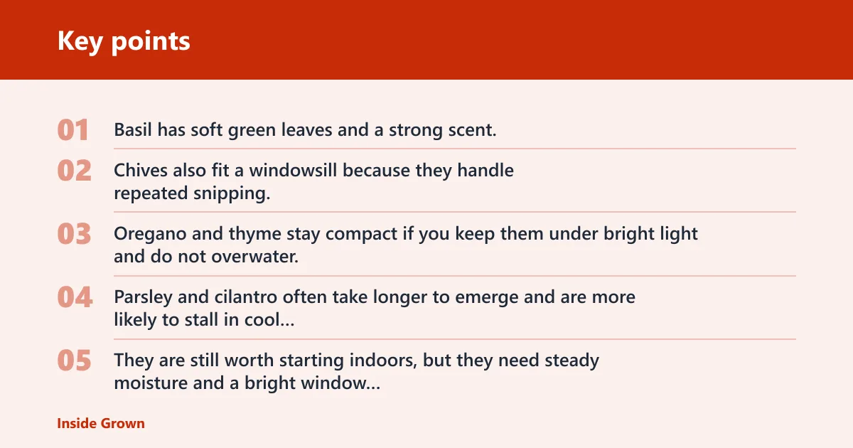 Key points: Which herb seeds are easiest to grow indoors?