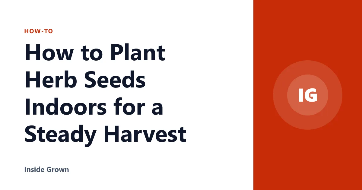 How to Plant Herb Seeds Indoors for a Steady Harvest