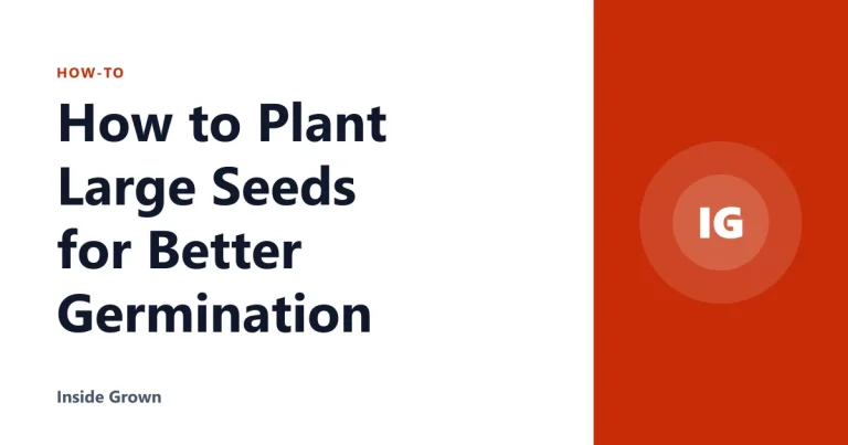 How to Plant Large Seeds for Better Germination