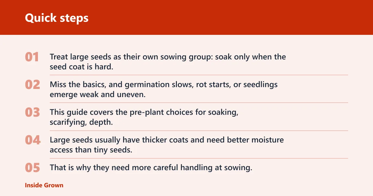 Quick steps: How to plant large seeds so they germinate better?
