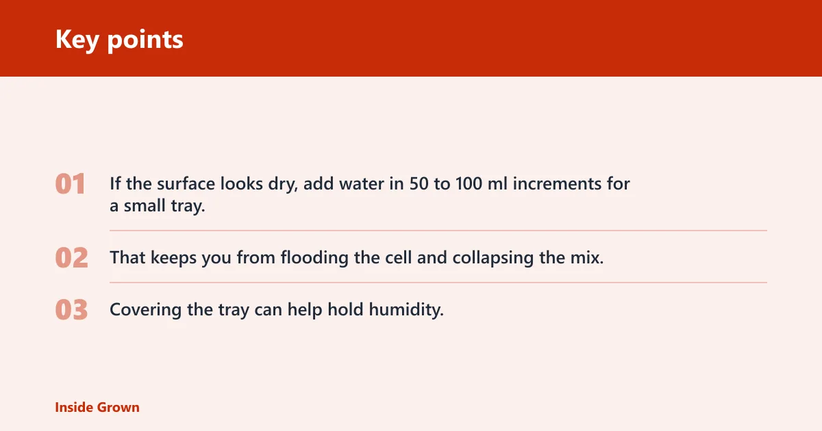Key points: What is the best way to keep large seeds moist after planting?