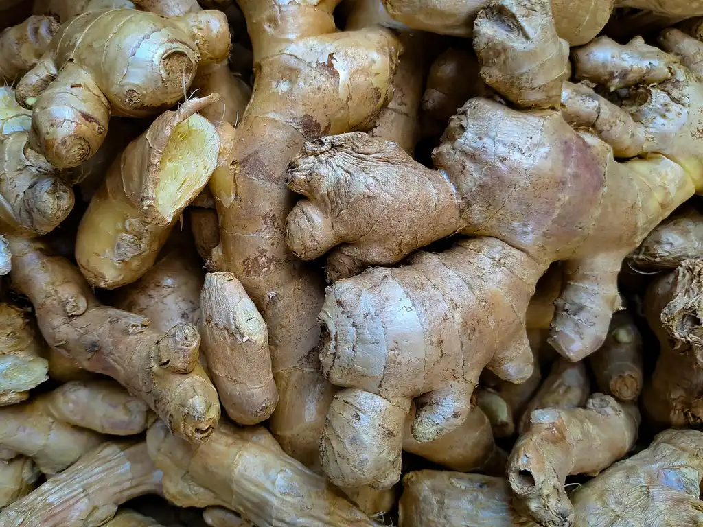 Why root crops crowd easily