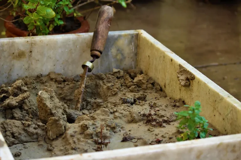 Gardener sowing seeds into a raised bed of clay soil with compost in natural light.