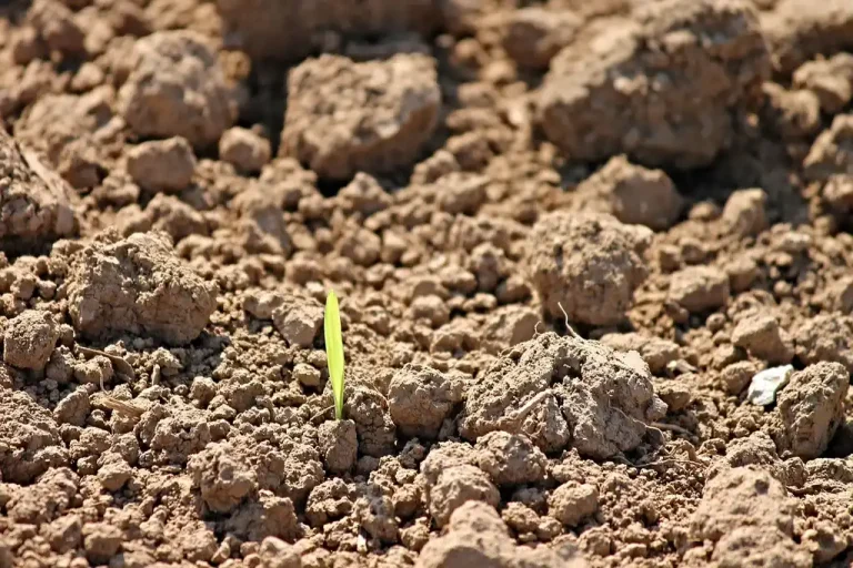 Gardener checks cold damp soil beside a raised bed with seed packets nearby