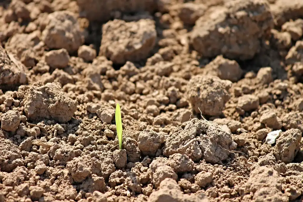 Gardener checks cold damp soil beside a raised bed with seed packets nearby