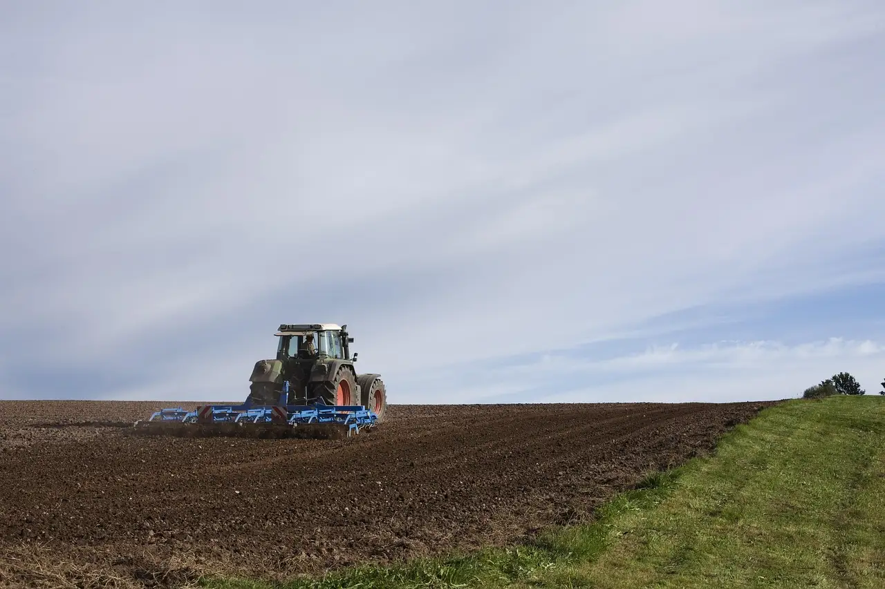 How to warm and protect the seedbed