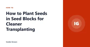 How to Plant Seeds in Seed Blocks for Cleaner Transplanting