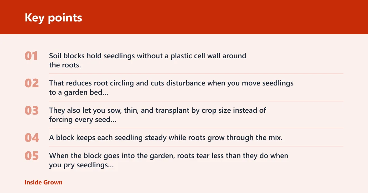 Key points: Why seed blocks help transplanting