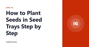How to Plant Seeds in Seed Trays Step by Step