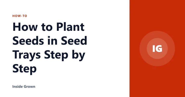 How to Plant Seeds in Seed Trays Step by Step