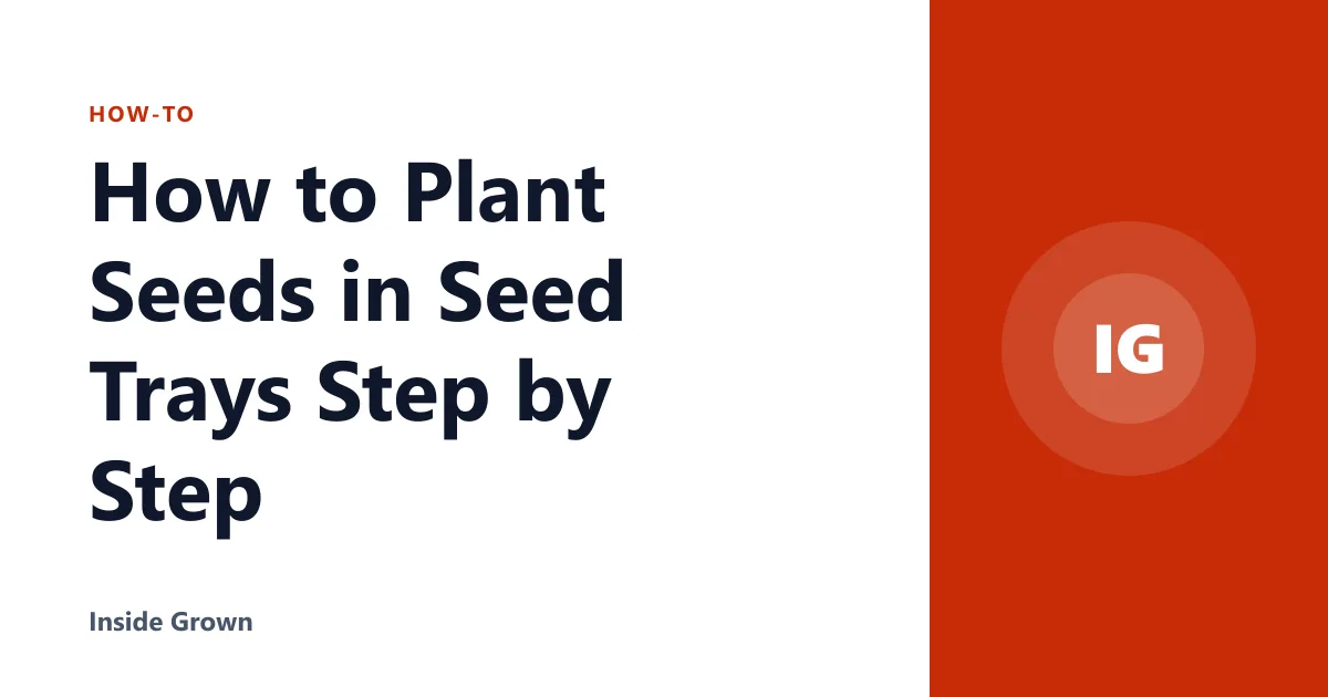 How to Plant Seeds in Seed Trays Step by Step