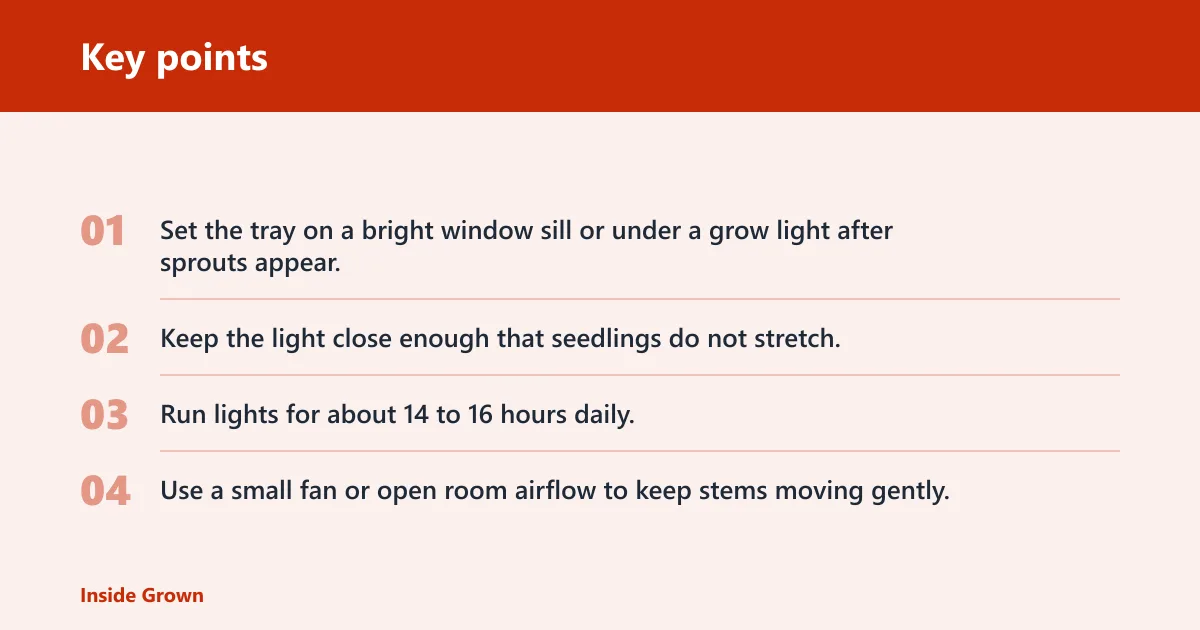 Key points: Do seed trays need a dome?