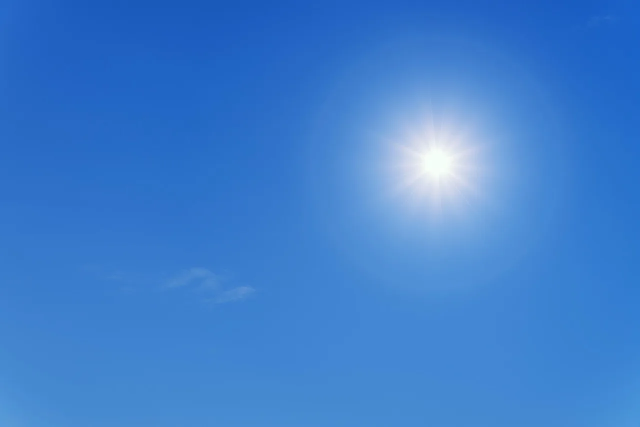 Why warm weather dries seeds so fast