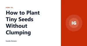 How to Plant Tiny Seeds Without Clumping