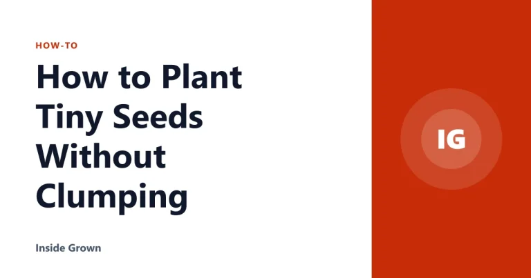 How to Plant Tiny Seeds Without Clumping