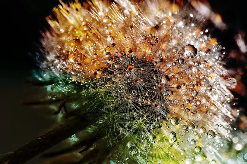 Why tiny seeds clump so easily