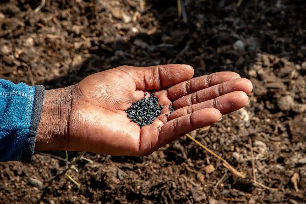 What tools help you sow tiny seeds more evenly?