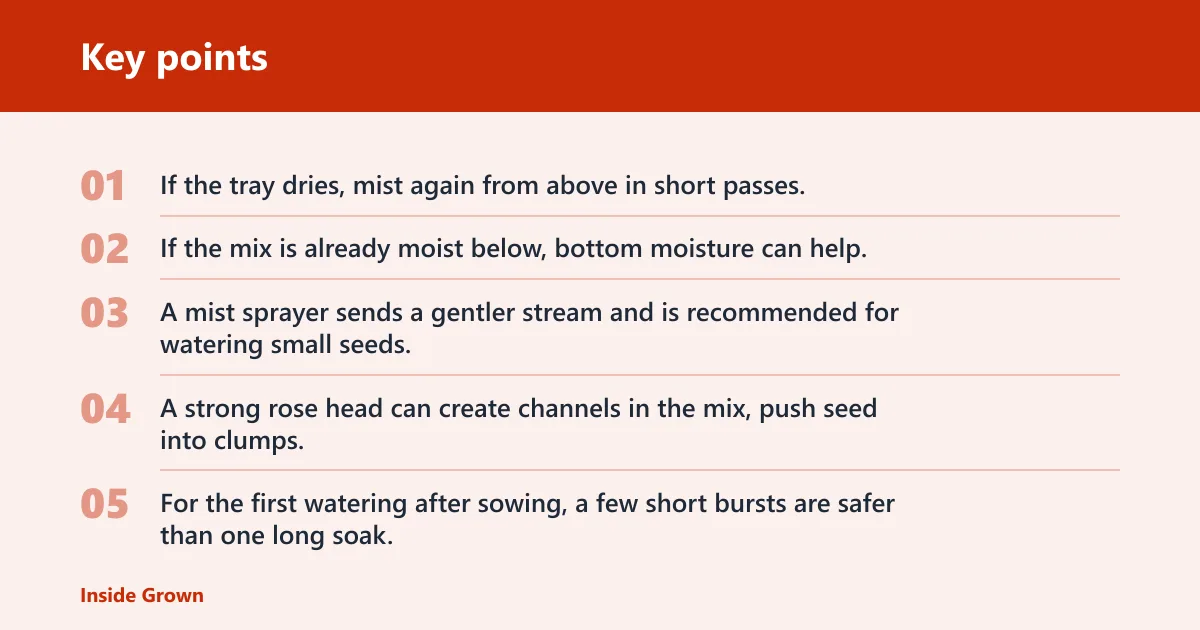 Key points: How do you water tiny seeds without washing them away?
