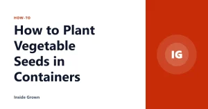 How to Plant Vegetable Seeds in Containers