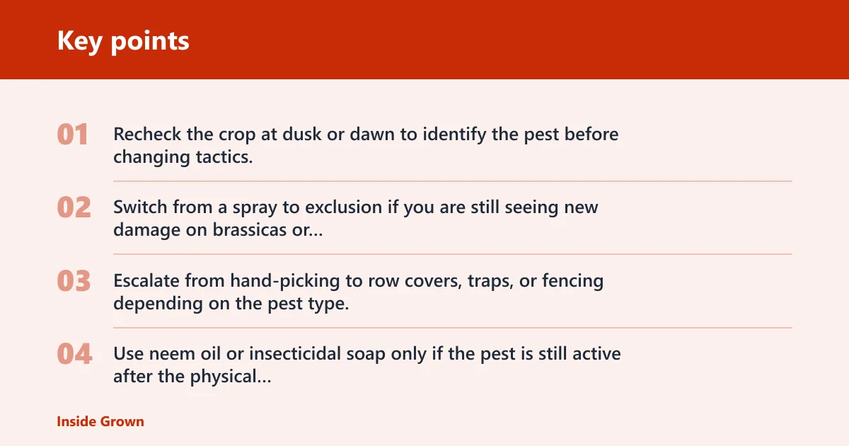 Key points: Common mistakes