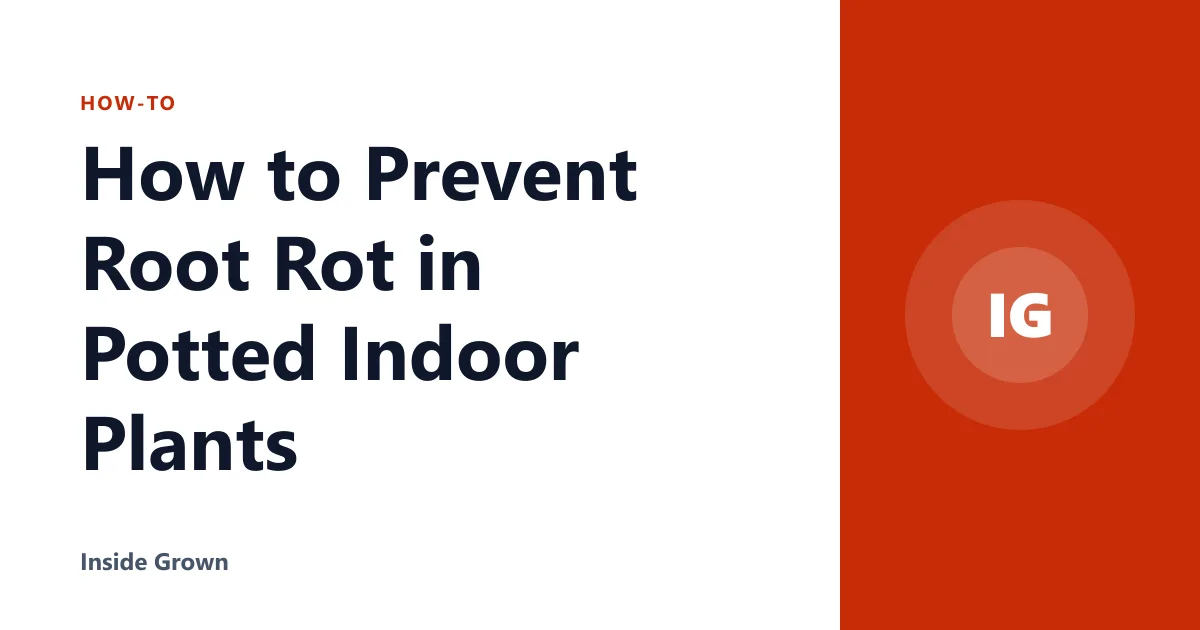 How to Prevent Root Rot in Potted Indoor Plants