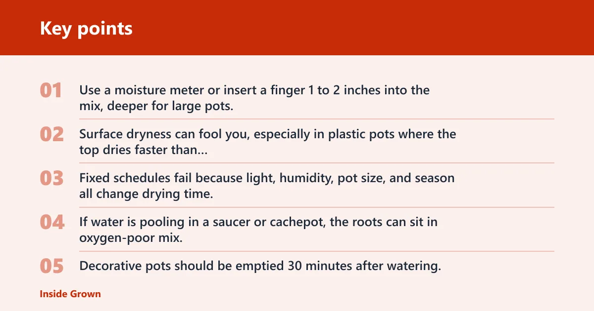 Key points: How do you tell thirst from root rot?