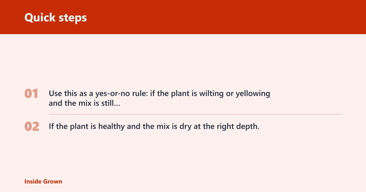 Quick steps: Root rot prevention checklist by setup
