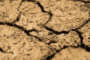 How to Prevent Runoff on Newly Graded Soil