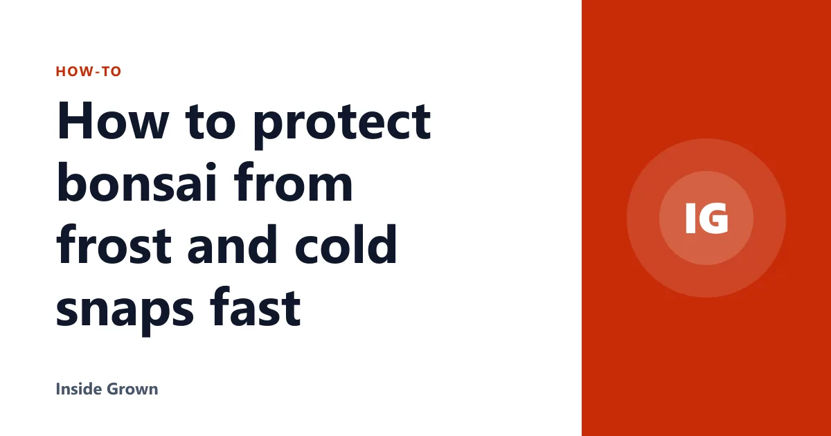 How to protect bonsai from frost and cold snaps fast
