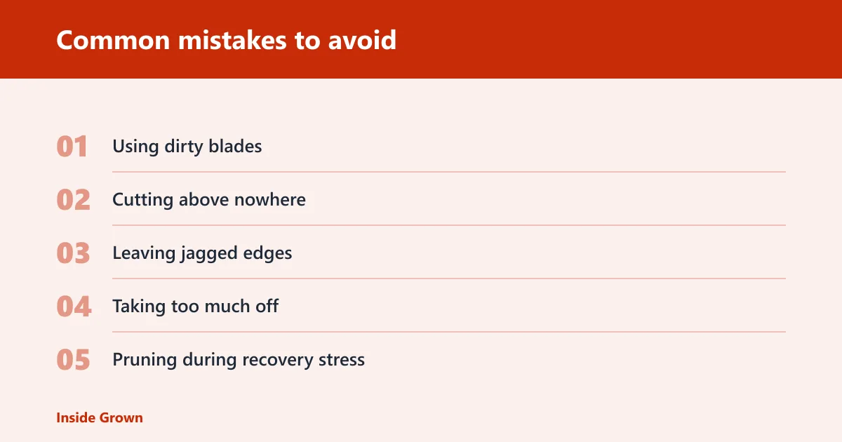 Steps: Common mistakes to avoid