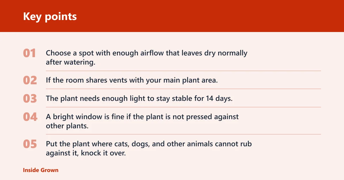 Key points: Where can you quarantine a plant?